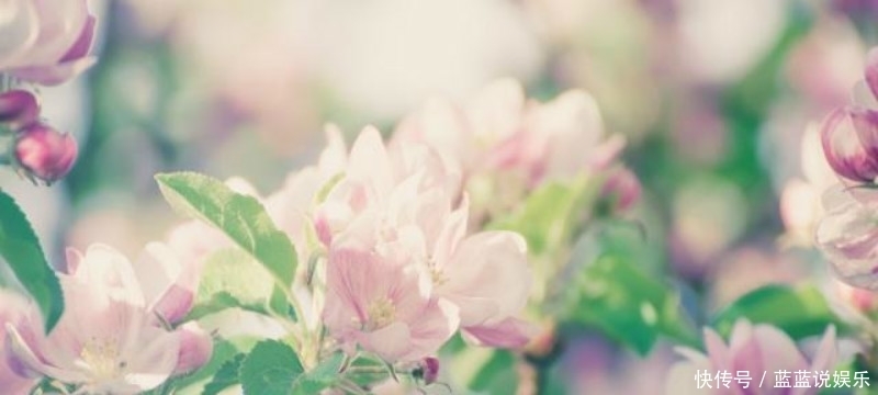 王安石第二次拜相,他的老对手苏轼不满,于是写下一首讽刺的诗!