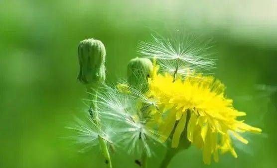 胰岛素抵抗|血糖高不高,只需看身体的4个地方就知道!降血糖用3招