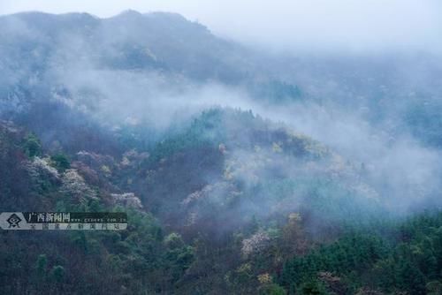 广西全州：天湖景区雨后云雾缭绕如仙境(组图)