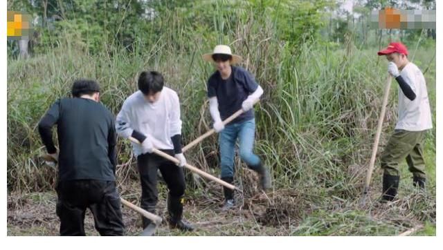 下期|向往下期妹妹银幕初吻对象来了！黄磊说要“打死他”，彭彭来助攻
