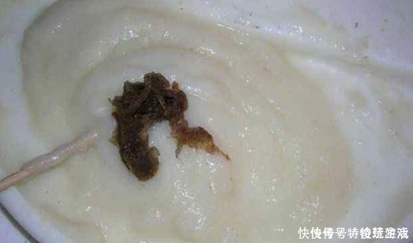 鲫鱼|野钓万能饵料,小鱼不闹窝只把大鱼钓!