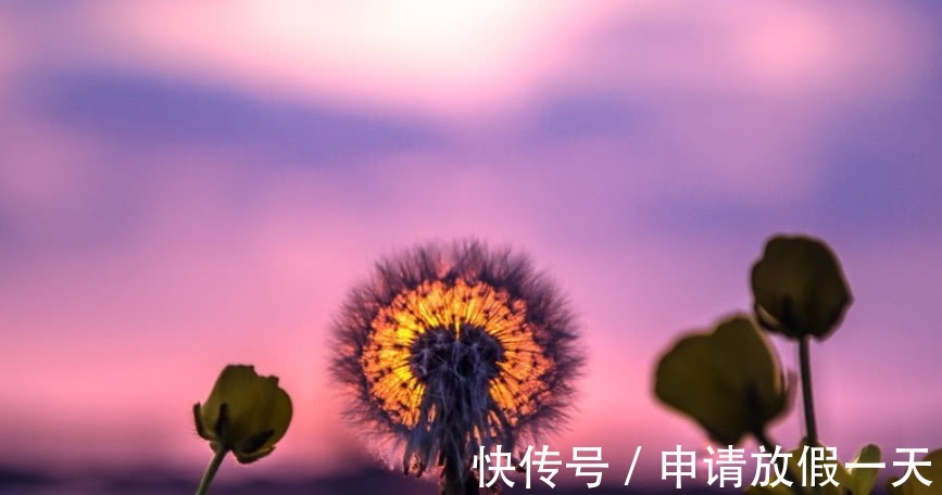 运气@人都是有运气的,一旦做事有这三个“特征”,恭喜你,好运来了