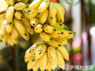 大肚腩|香蕉和此物一起吃,大肚腩没了,睡眠好了,让你远离失眠的烦恼