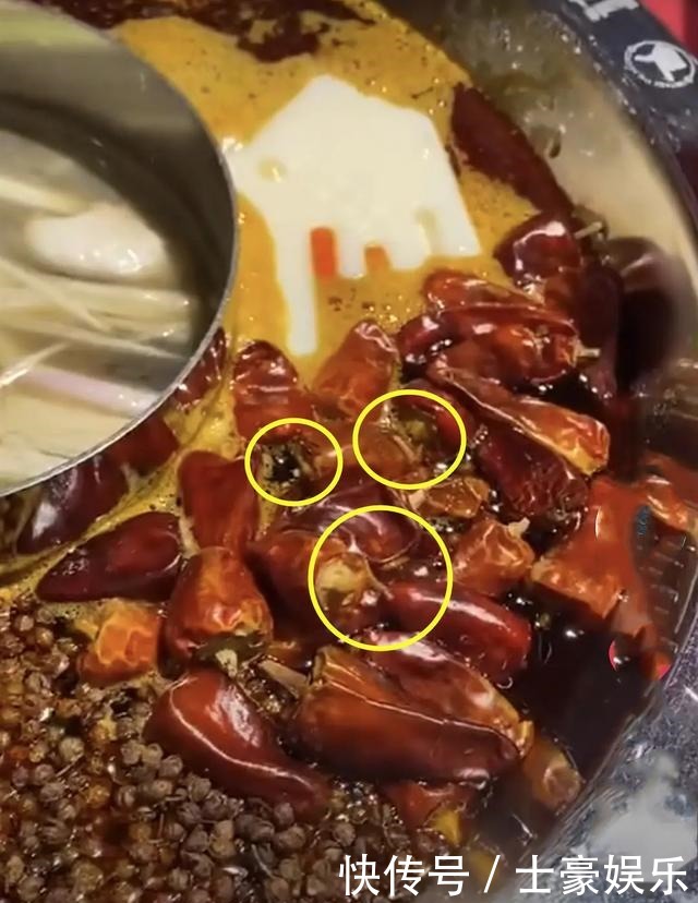 陈赫火锅店翻车!食客视频爆料吃出三条蠕动的虫,明星开店问题多