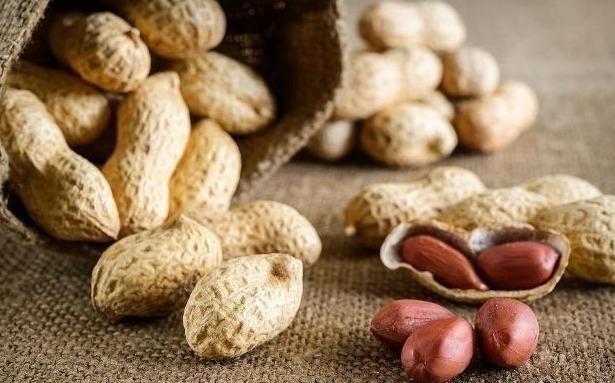 减肥|瓜子和花生,一个让你发胖,另一个让你减肥,也许很多人吃错了!