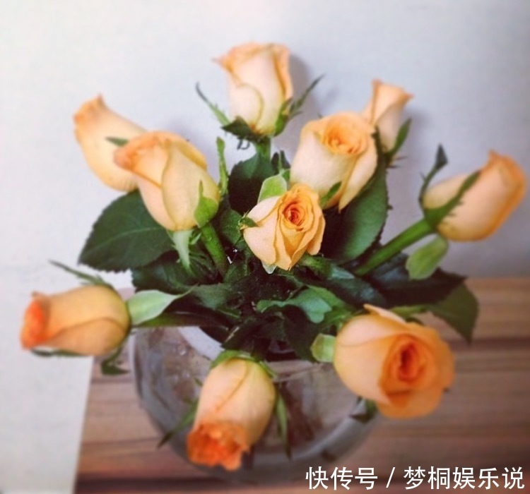 好闻|家里养此5种花,好看好闻,关键花朵还能吃,真是美味!