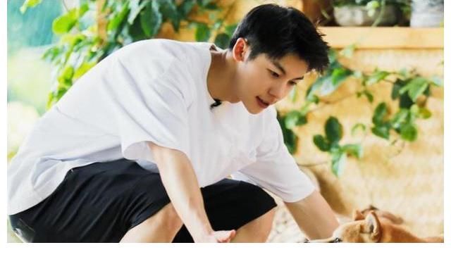 节奏感|《向往的生活5》收官，评分虽然高达6.8，但疑似没有第六季？