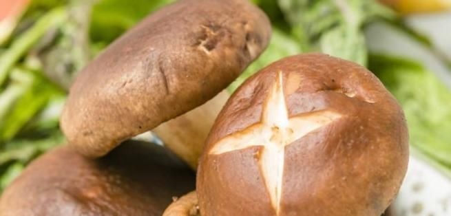 香菇到底应该直接炒还是先焯水，今天终天有答案了，快告诉家里人