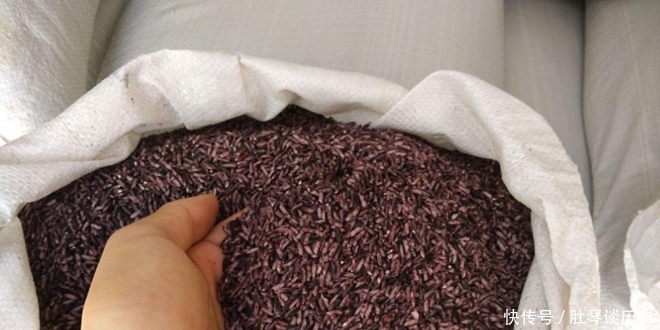 世界|世界最昂贵的顶级食物,吃过一口都算土豪,网友:听都没听过