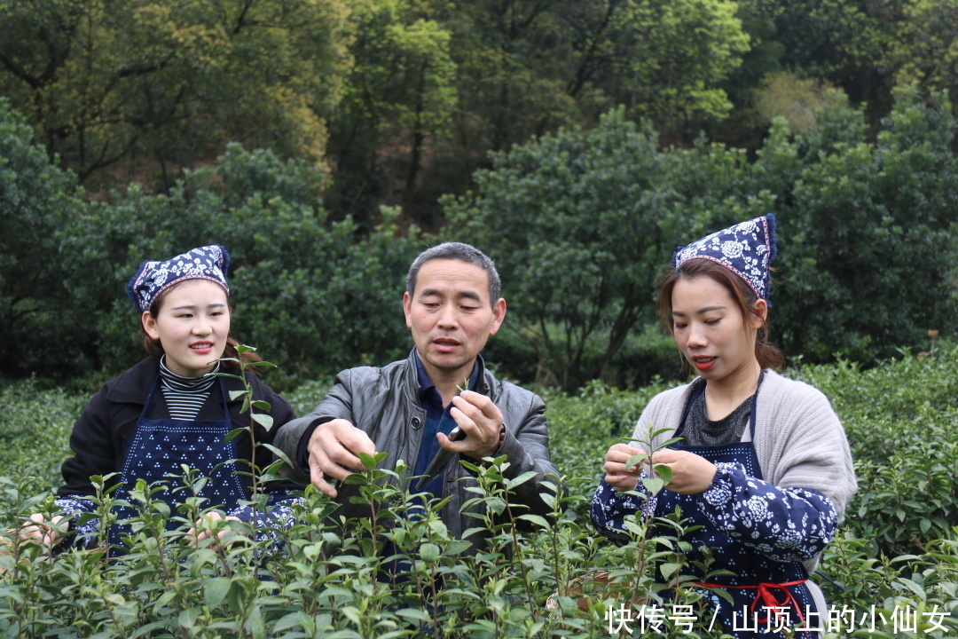 不负春色 | “春茶繁花” 私藏春季献礼|杭州天域开元观堂 | a8338