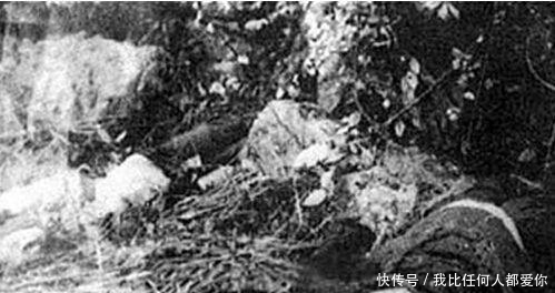 法律|中国末代悍匪:1965年动用7000人才抓到,被捕时妻子还在旁生产