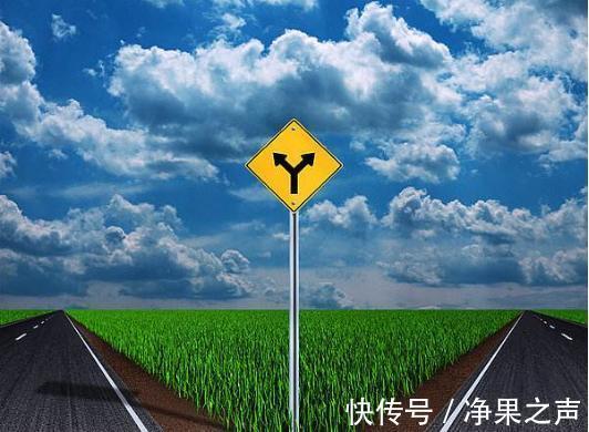 拼多多|人到中年，职场消失，他们都干什么去了？