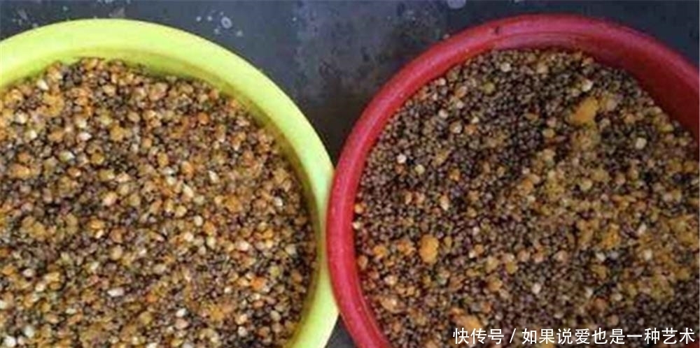 夏季|夏季钓鱼，鲜为人知的四个用饵技巧，饵料对了口，钓大鱼不是难事