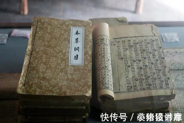 深山|深山老林一种野生菌类,是天然“抗癌剂”,坚持每天吃一点