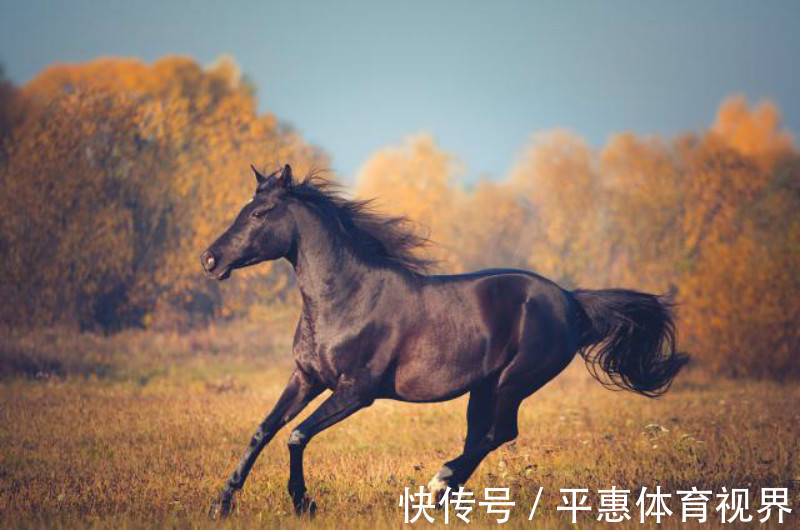 子才甫&辛弃疾的一句牢骚,被落魄才子巧对下半句,成一个家喻户晓的名句