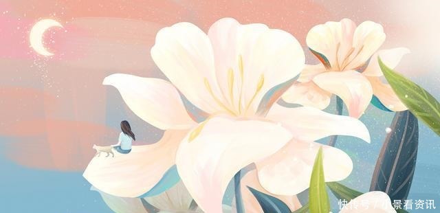 我不是没有选择,只是不想违心