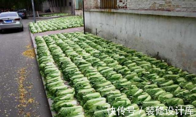 身体|咸菜对身体有害？农村老人顿顿都吃咸菜，为何依然高寿？