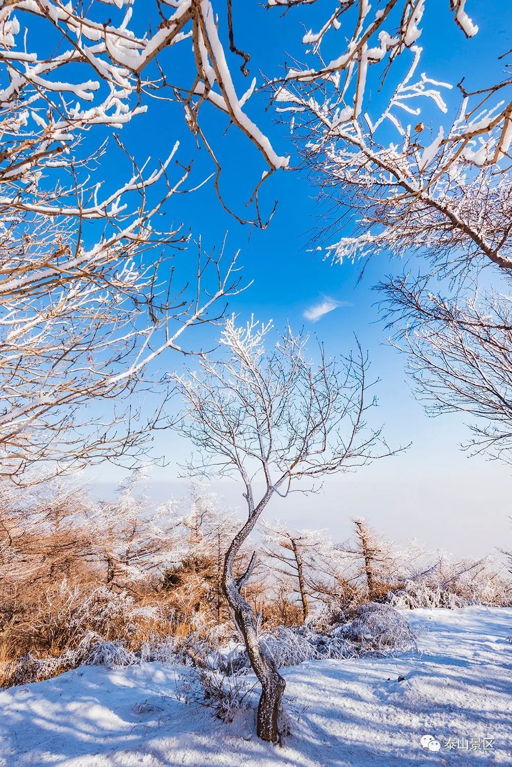  散文|跟随姚鼐的散文《登泰山记》冬览泰山