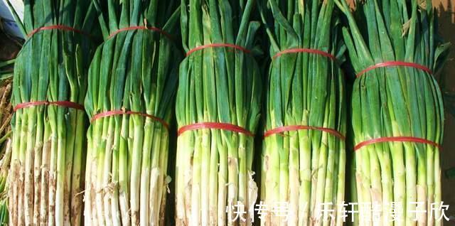 大葱保存,别直接放地上,教你一招,放一个月不空心不干瘪