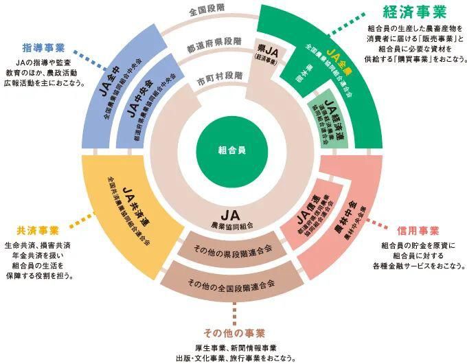 国内|在日本打车，究竟比国内贵多少？