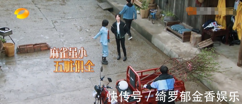 张子枫|《向往》迎来最真实嘉宾!吐槽节目组直言想回家,张艺兴很照顾她