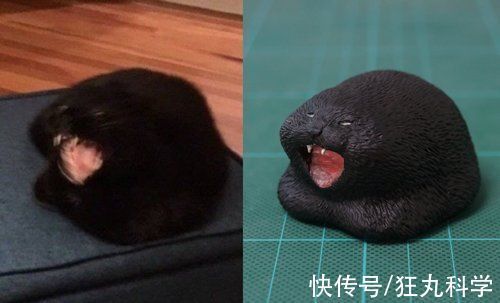 长颈狗|全球的猫都想屏蔽这个日本人,他到底做了多少沙雕手办?