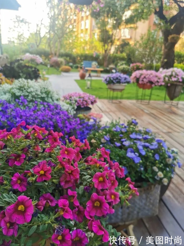 下午茶|一楼430㎡大院子，用1年半建成花园，网友：你这是建了个公园吧？