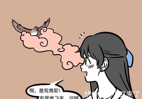 鸳鸯|非人哉：人类爱情太纠结，鸳鸯很不解，难道不累吗？