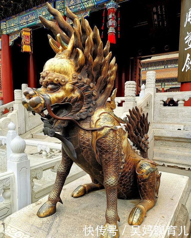 故宫有191只猫，网友争着撸。故宫：别急，还有18只瑞兽