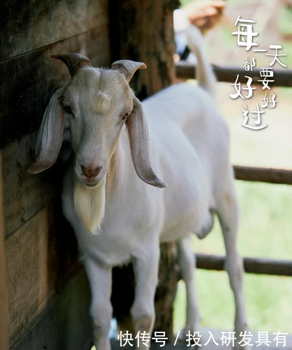 《向往的生活》最新一季要来啦！大家都希望谁来做客呢？