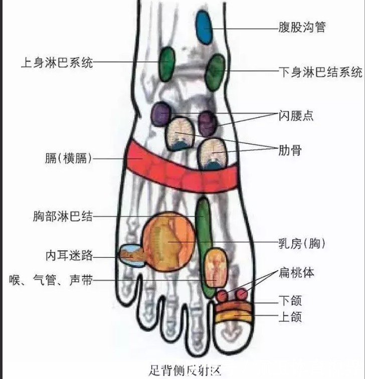 脚背处|女人踩踩自己的脚，不容易得妇科病，为什么？