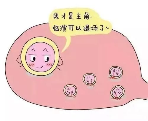 上海借卵公司（【孕育新生】准备做“试管”，流程早知道！）
