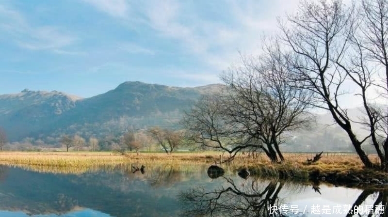 这首诗#王安石这首诗也被严重低估了,句句是经典,最后两句美得令人心醉