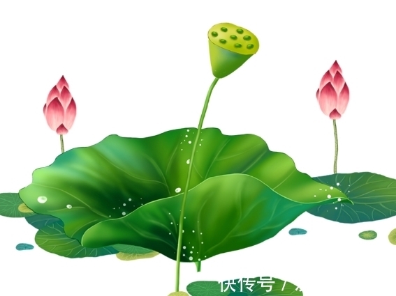 火旺盛|到了年底，4属相财路大开，步入人生上上吉，日子越来越旺