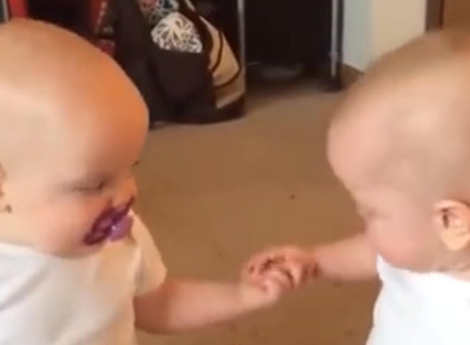 双胞胎宝宝“互抢”奶嘴萌翻众人,网友:亲情的火苗真是说灭就灭