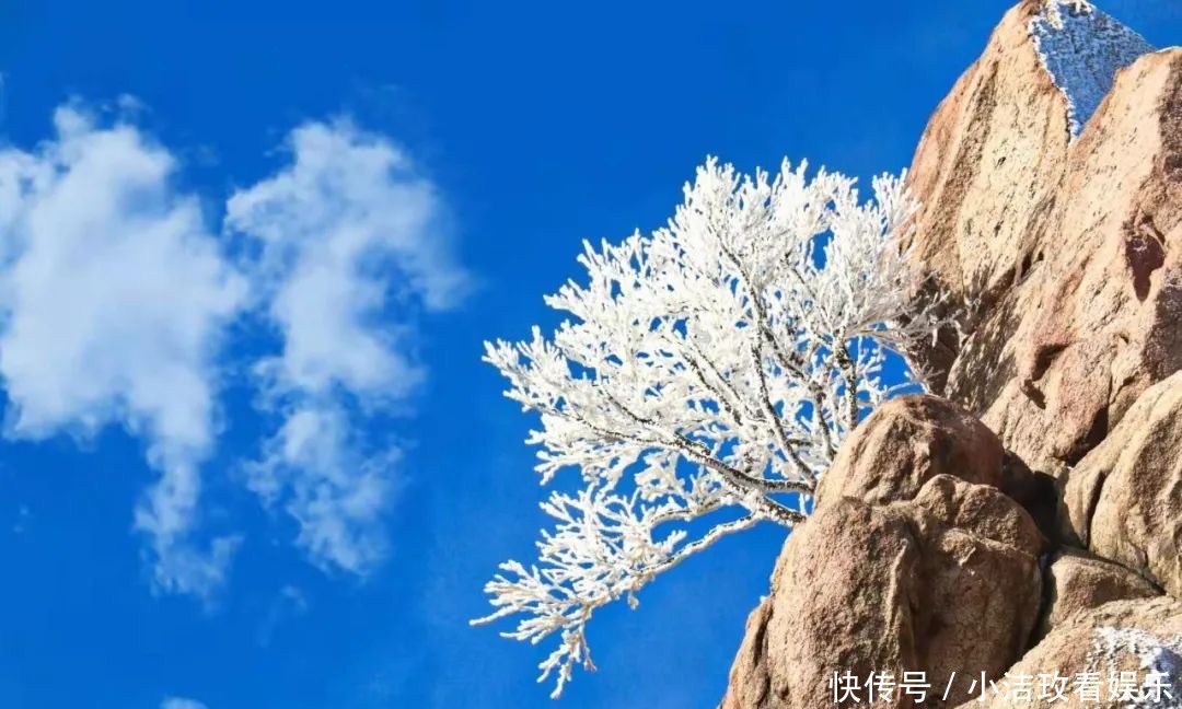 眷恋|雪后的泰山！美！