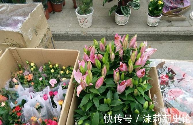 自从小编采用这种方法后，再也没有死过花，而且还能得到免费花