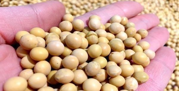 女人|40多岁就进入更年期的女性和50多岁才更年期的女人，谁老得更快