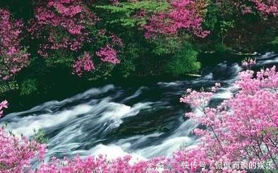 开篇|王安石晚年创作的一首诗,开篇就美不胜收,后两句更寄寓深远