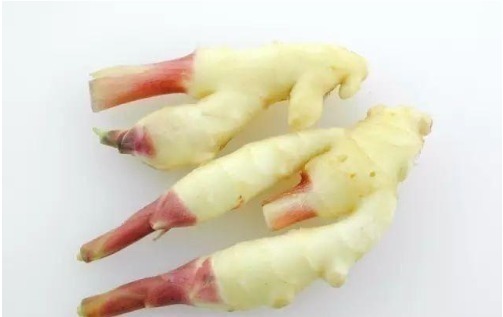 甲鱼|最好吃的鱼，营养是甲鱼8倍，16块钱一斤，比肉便宜无人买