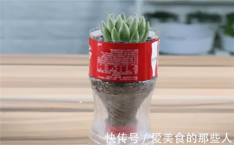 浇水|有些人养花10年都没搞清楚,浇水是一门学问,越简单越容易忽视