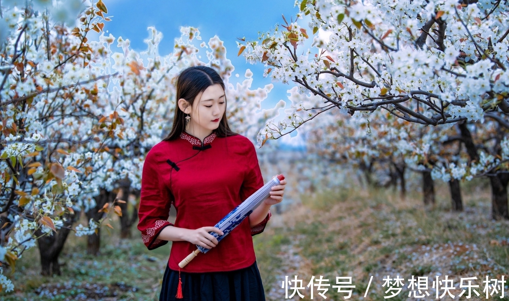 红烛|诗·八首丨横风瘦竹半窗月，玉影残枝一笔勾