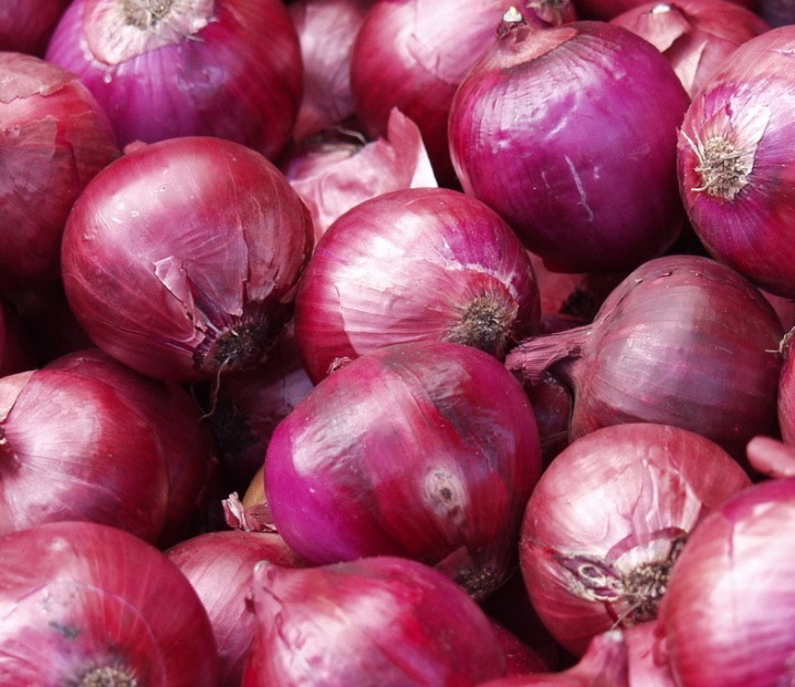 食物|吃了洋葱一个小时以内,别碰此种食物,为了健康着想,要记得忌口