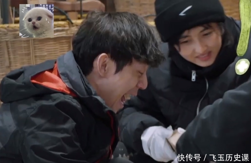 钉子太短,彭昱畅钉木头却“一场空”,何炅的表情过于真实了