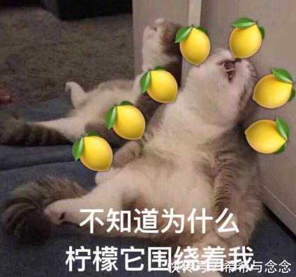 皂基类|别让洗面奶成为你孕期最大的“颜值杀手”!孕妇洗面奶千万别瞎买