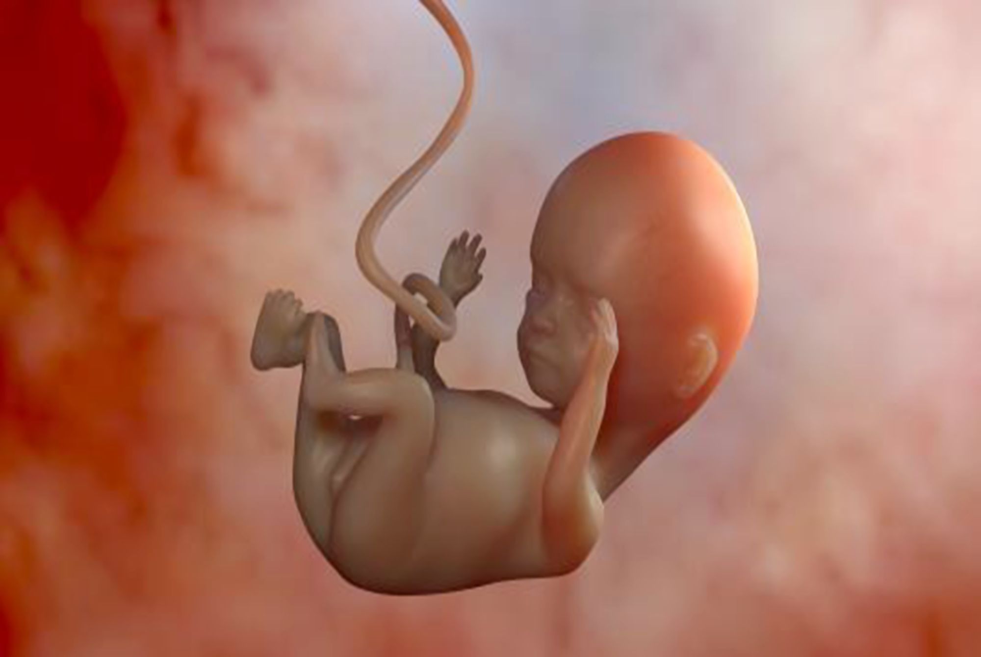 孕妈|宝妈要了解胎儿的“猛涨期”,如果补得早,肉可能会长在自己身上