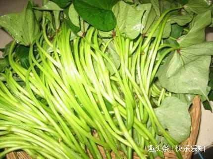 营养物质|别看它不好看还脏，却是医生最爱，吃出健康还能防癌、降三高！