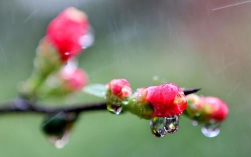 清明前后，除了骨头汤，这4道“春燥汤”多给家人喝，营养降春燥