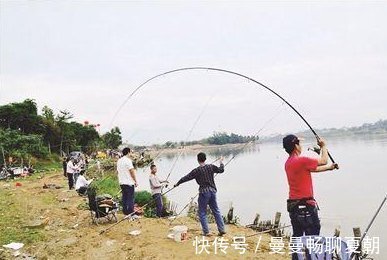 平拉|简单易上手的抛竿的开饵方法,干货满满分享给大家