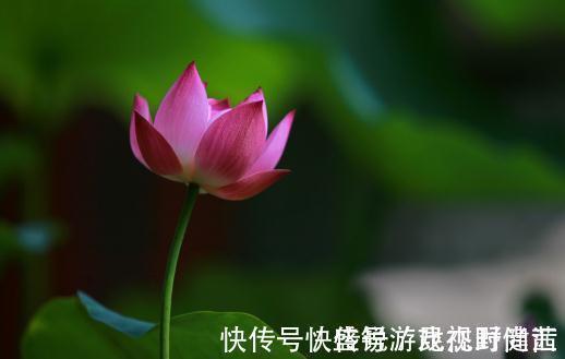 一身正气#真正有本事的人,为人处事时都有以下几个特点,值得交往